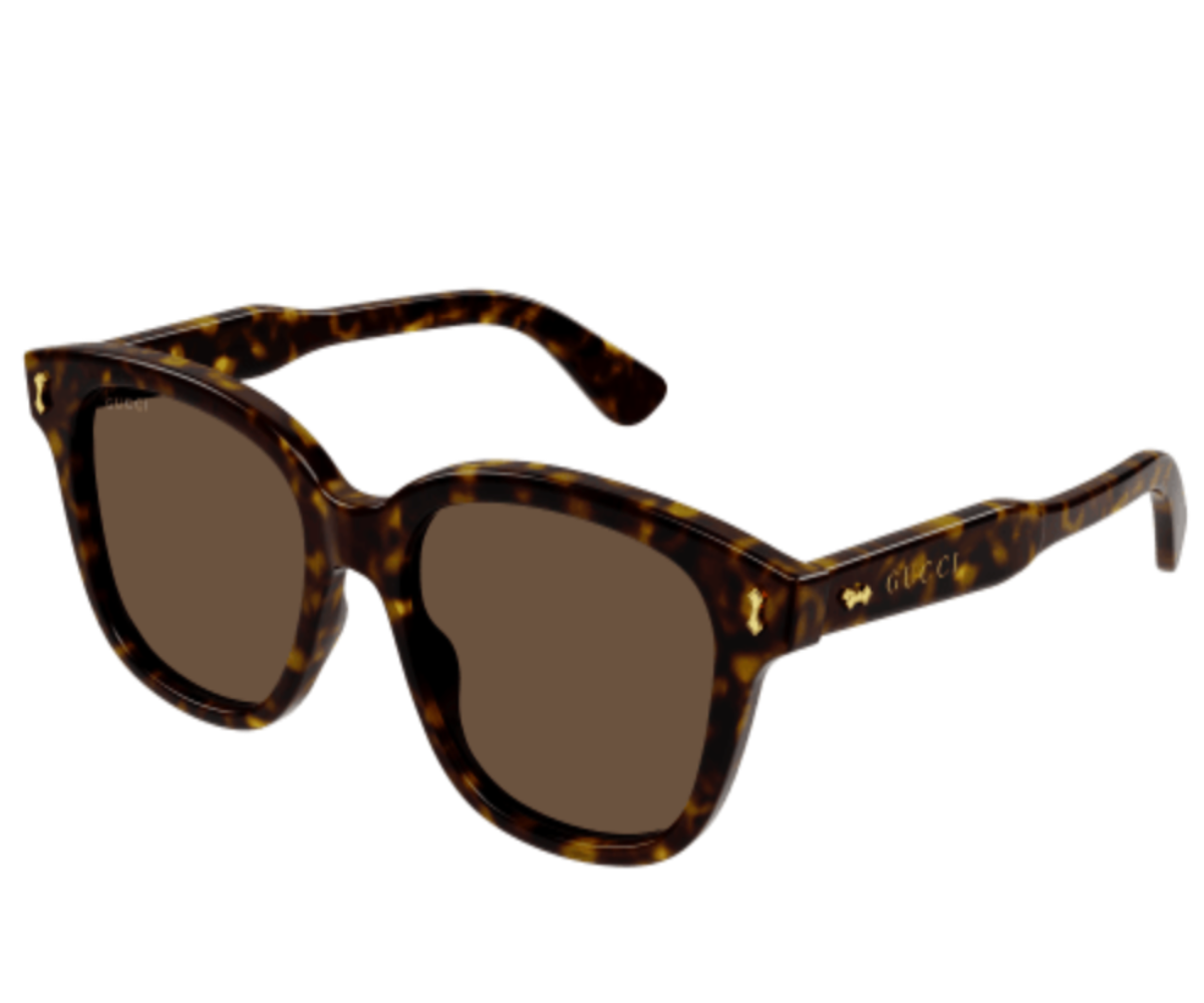 GUCCI logo sunglasses (brown/brown)