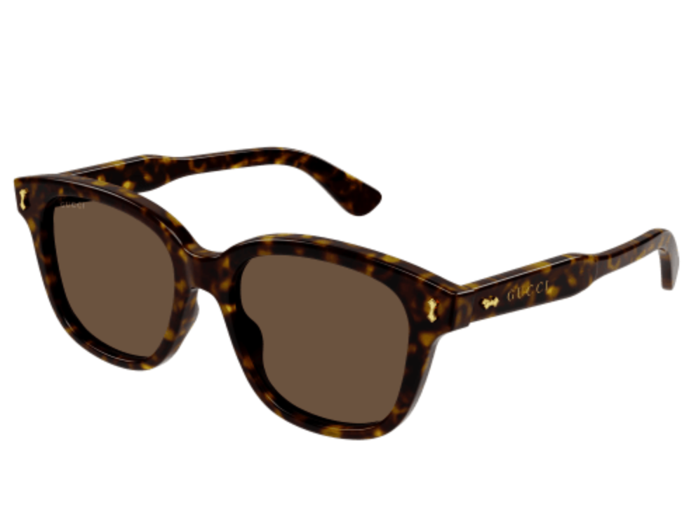 GUCCI logo sunglasses (brown/brown)