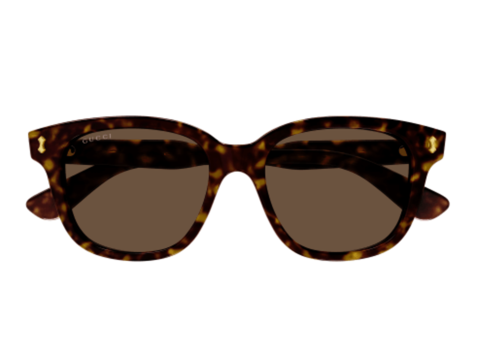 GUCCI logo sunglasses (brown/brown)