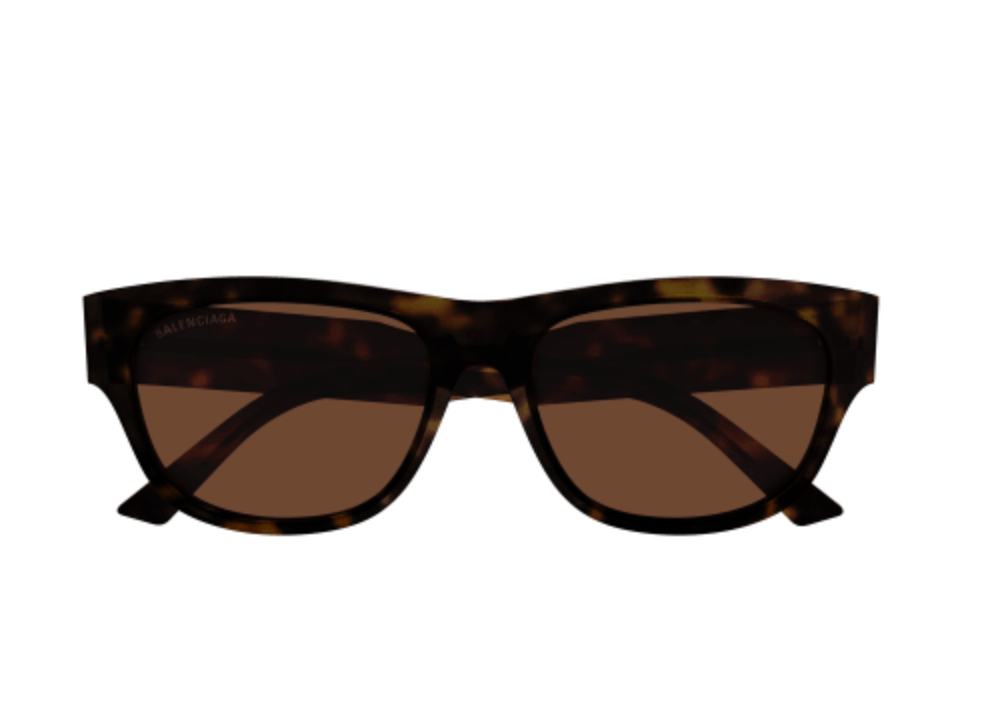 Balenciaga everyday sunglasses (brown/brown)